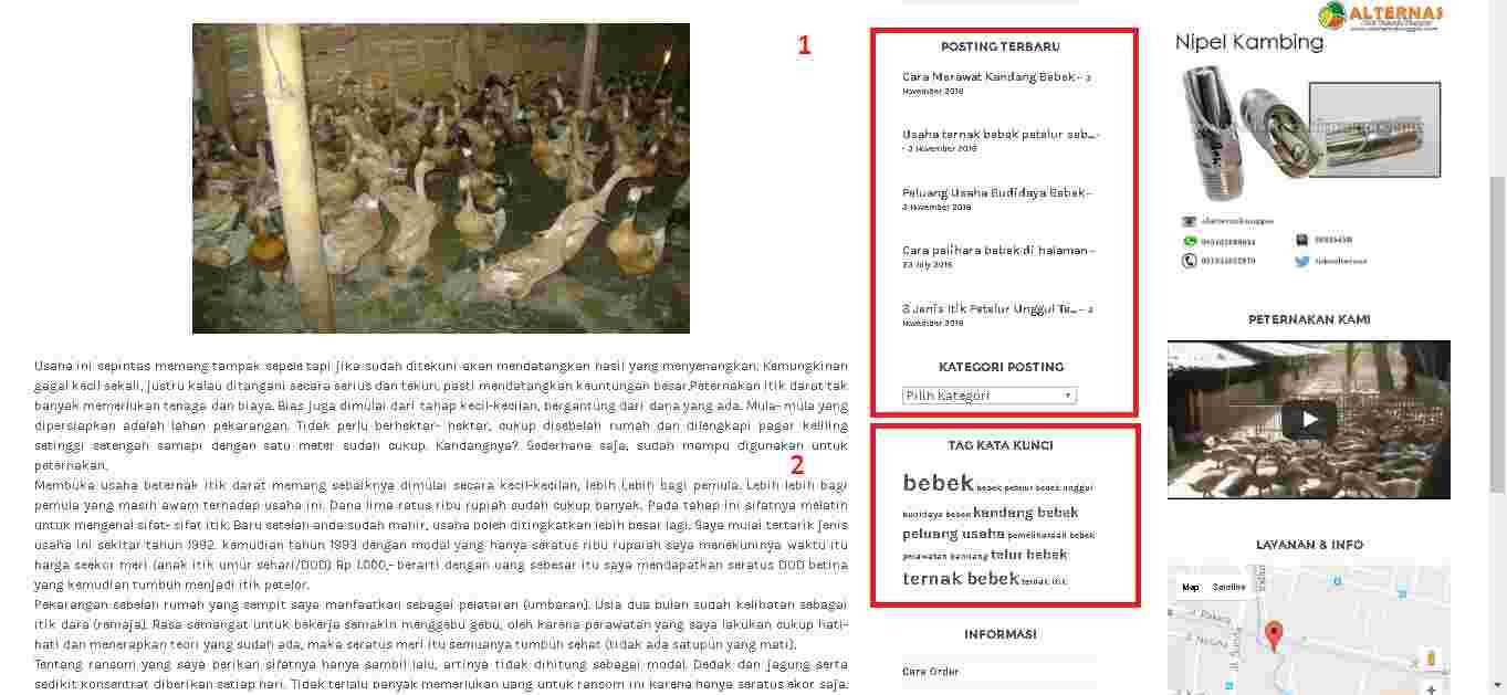 post-halaman-10-gambar