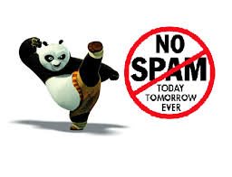 penalti google panda