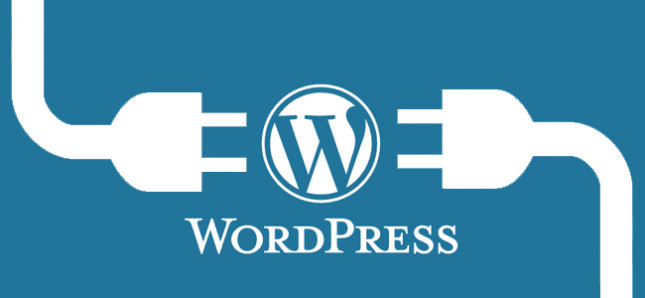 plugin untuk mendukung fungsi wordpress
