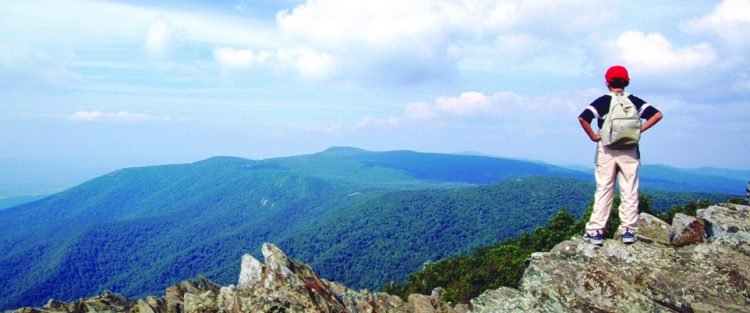 wawaan diperlukan untuk menjadi SEO