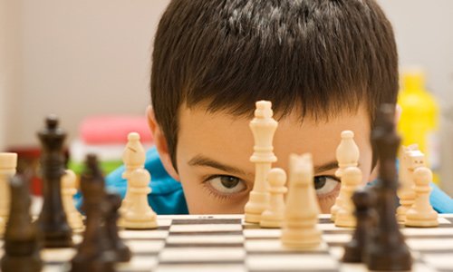 menggunakan logika dalam seo