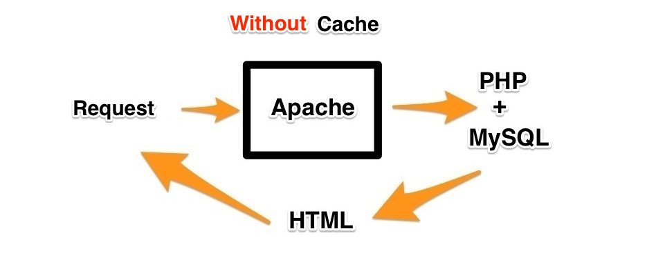 loading website tanpa cache